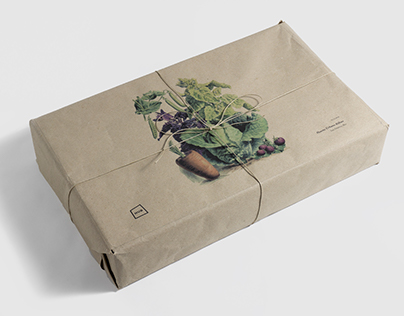HUB Concept Packaging
