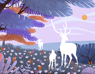 Illustrations for a zoo with deer