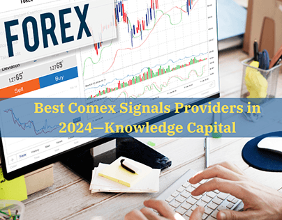 A Professional Forex Signals Provider in 2024