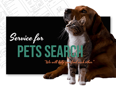 Service for pets search