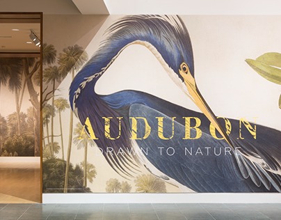 Audubon: Drawn to Nature Exhibition