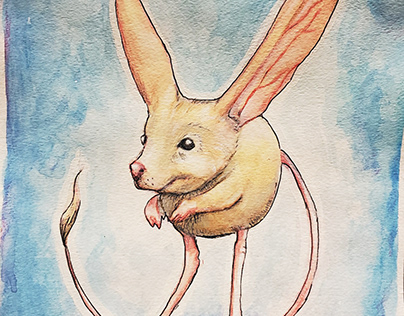 Big-Eared Hopping Mouse