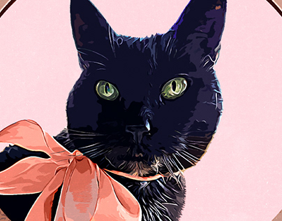 A Black Cat Named Rose Book Cover