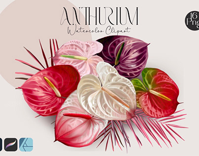 Wedding flower Anthurium bundle