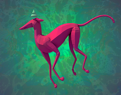 Galgo - From 2D to 3D