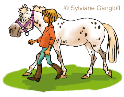 Horse riding questions and answer booklet
