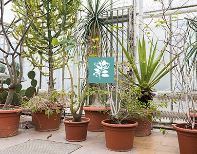 Project thumbnail - green leaf - plant shop branding