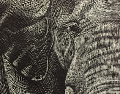Elephant (sold)