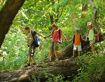 Forest Service Aims to Get More Children in the Woods