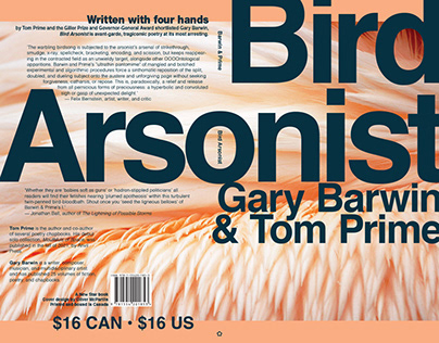 Bird Arsonist
