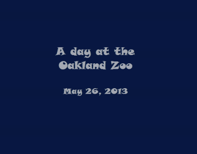 Short Web Video: A Day at the Oakland Zoo