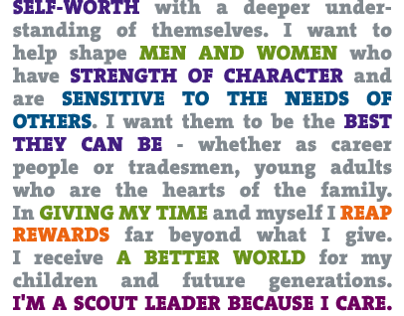 I'm a Scout Leader...