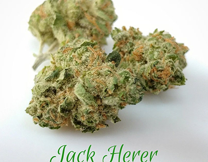 Jack Herer Flower
