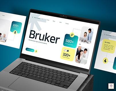 Bruker - Web Developer Agency Brand Guidelines