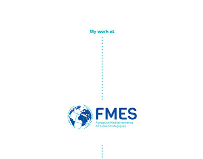 My work for Institut FMES