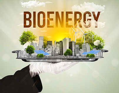The Campus Bioenergy Derivative System (CBDS)