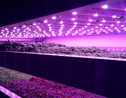 Utilizing Light Spectrum to Influence Plant Behavior