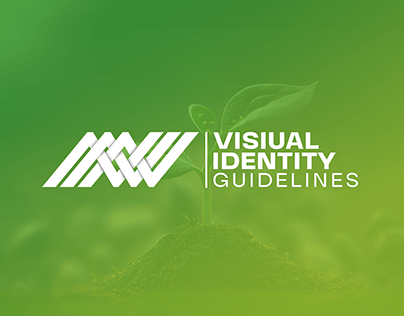 Visual Identity Guidelines | The Line for development
