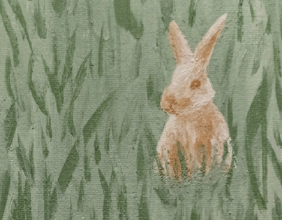 a lone rabbit