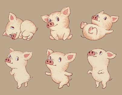 Cute Pig