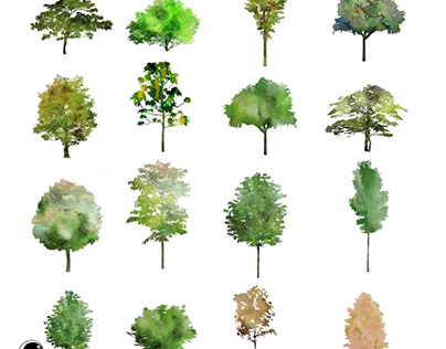 Free watercolor PNG trees