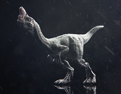 Creature Concept // Oviraptor with textures