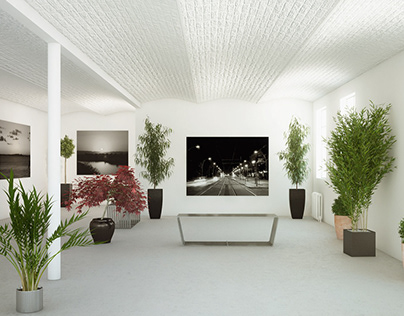 Role of Plants in the Home’s Interior