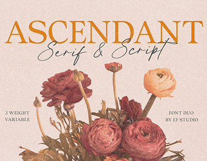 Ascendant | Font Duo