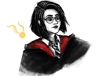 If I Was A Hogwarts Student