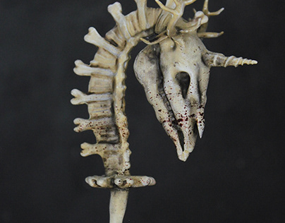 3D model of Skeleton Horse
