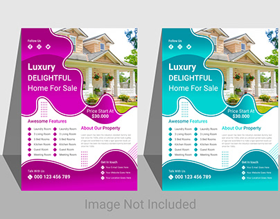 Real Estate Flyer 2 Color Variation Vector.