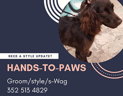 Pet Grooming by Hands to Paws in Beverly Hills