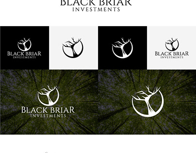 Black Briar Investment