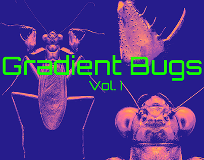 Gradient Bugs Vol. I