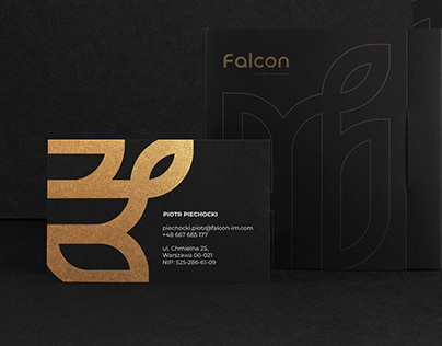 Falcon Logo & Branding