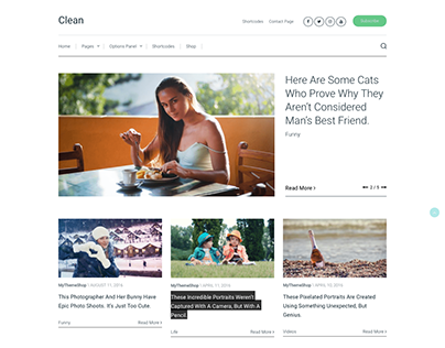 Clean WordPress Minimalistic Theme for Pro Bloggers
