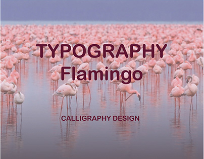 Typography flamingo