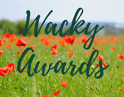Wacky Awards