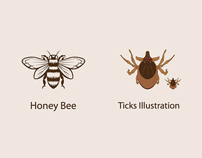 Honey Bee & Ticks Vector art illustration
