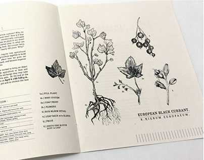 / Currant Exchange Botanical Brochure