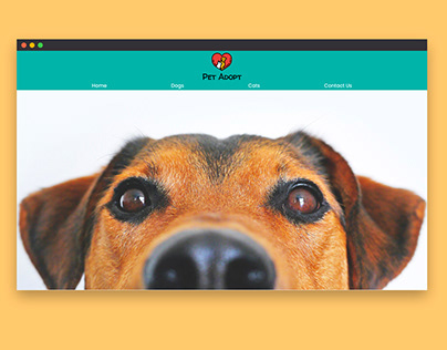 Pet Adopt Website Design