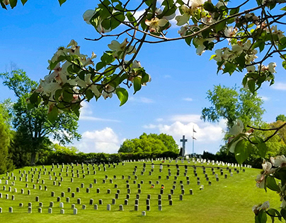 Spring Hill Cemetery - Huntington, WV