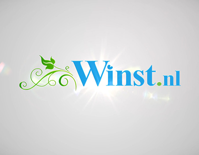 Winst.nl Internet Marketing