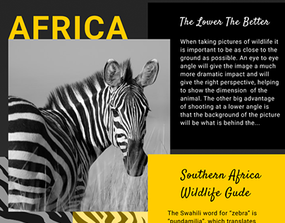 Southern Africa Wildlife Guide