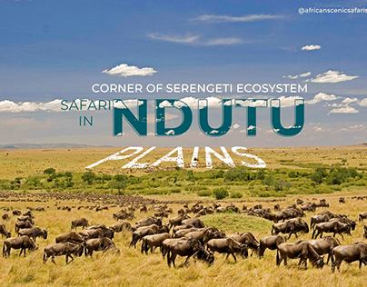 Corner Of Serengeti Ecosystem – A Safari To Ndutu