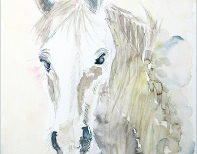 White horse, watercolor, 2021