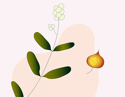set of contour illustrations on a botanical theme