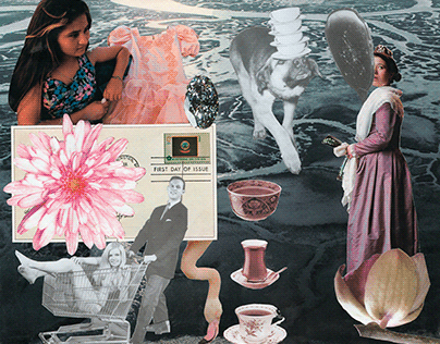 Domestication | Collage