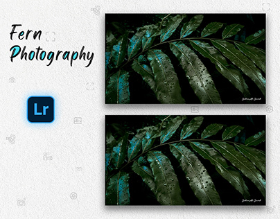 Nature Photography || Tropical Fern plant