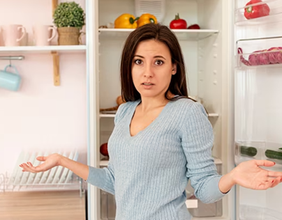 refrigerator stopped running no sound